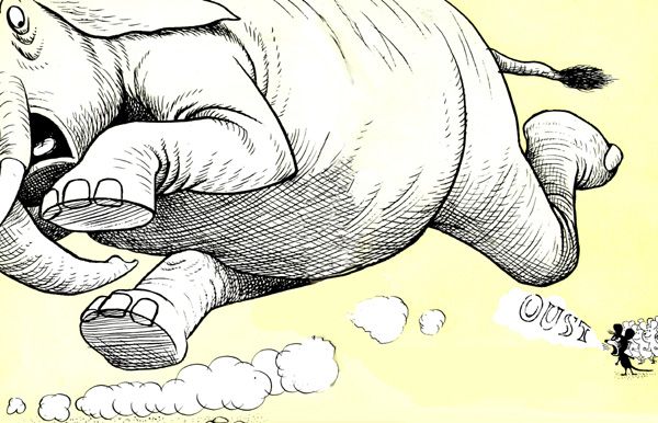 Кто мне поможет избавиться от слонов