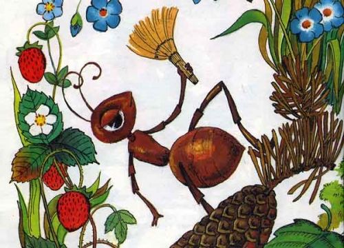 упала с ёлки шишка