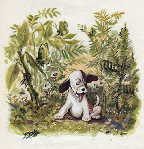 Один крошечный Жук-Бомбардир идет по земле