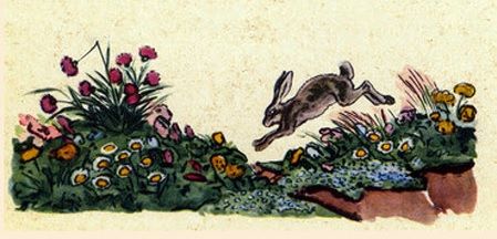 зайка в лесок до дому