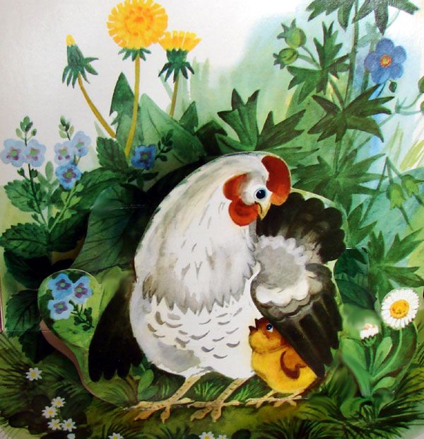 к цыплёнку подбежала мама