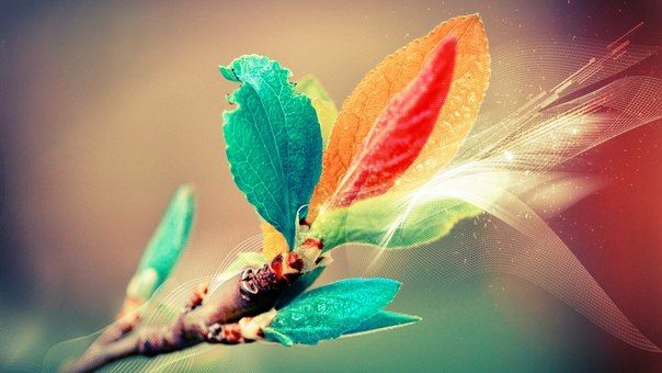 Вдохновение слушать музыку на ночь детям